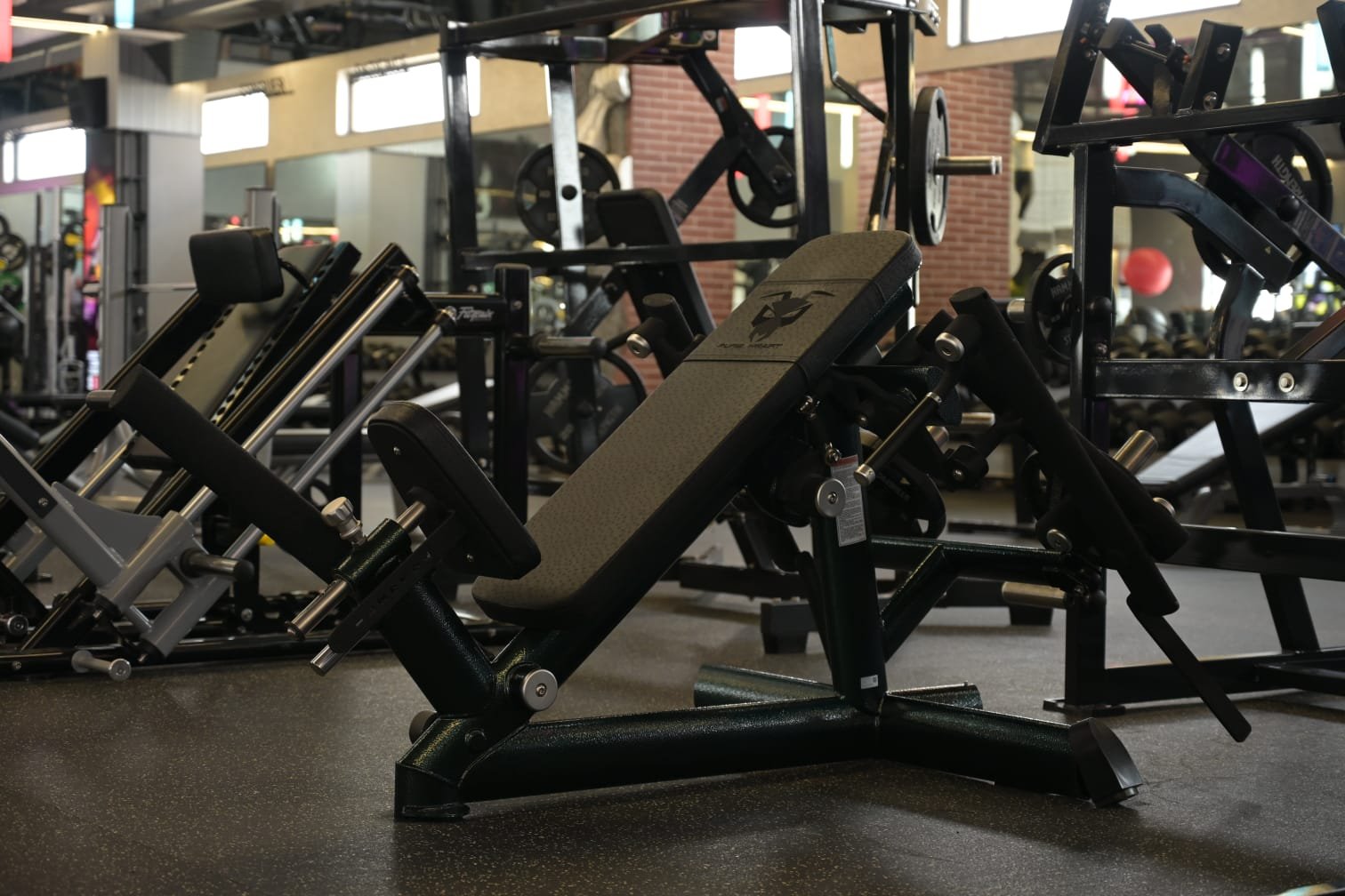 Premium gym equipment